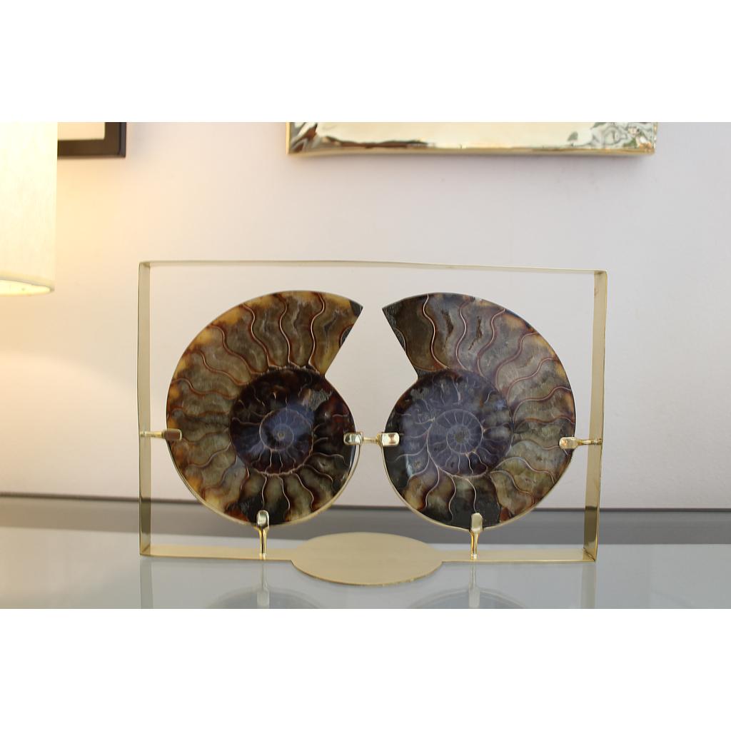 CADRE AMONITE/ BOIS 0,4/0,5 KG