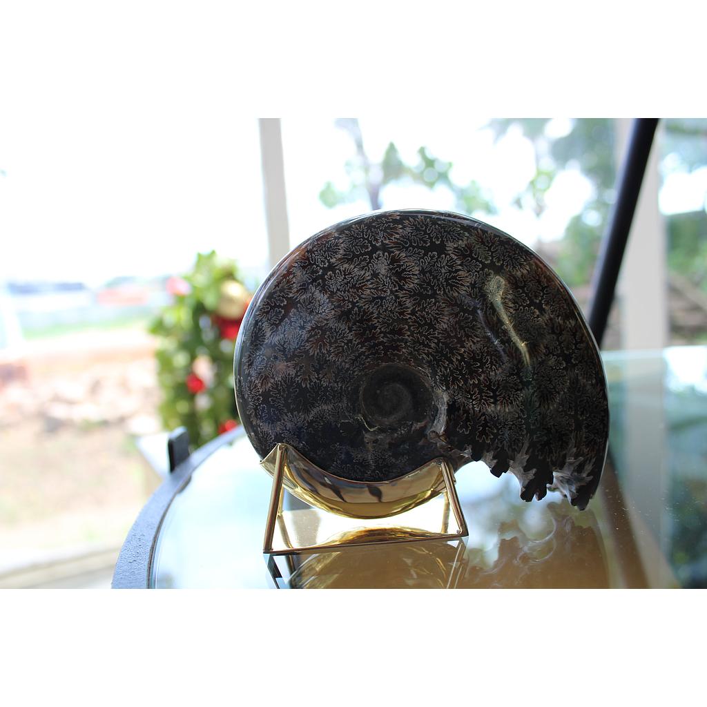 AMONITE BERCEAU 0,1/0,2 KG